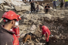 NPNW17JUL3122. A member of the Iranian Red Crescent Society (IRCC) and his rescue dog search for the bodies of flood victims on the ruins of a house which is destroyed and covered with mud in the flooded village of Mazdaran in Firoozkooh county 124 km (77 miles) northeast of Tehran, after flash flooding, July 31, 2022.