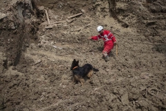 NPNW29AUG0322. Five days after a sudden flooding in the flooded village of Mazdaran in Firoozkooh county 124 km (77 miles) northeast of Tehran, a member of the Iranian Red Crescent Society (IRCC) searches for a body in a mud-covered destroyed building with his rescue dog, August 3, 2022.